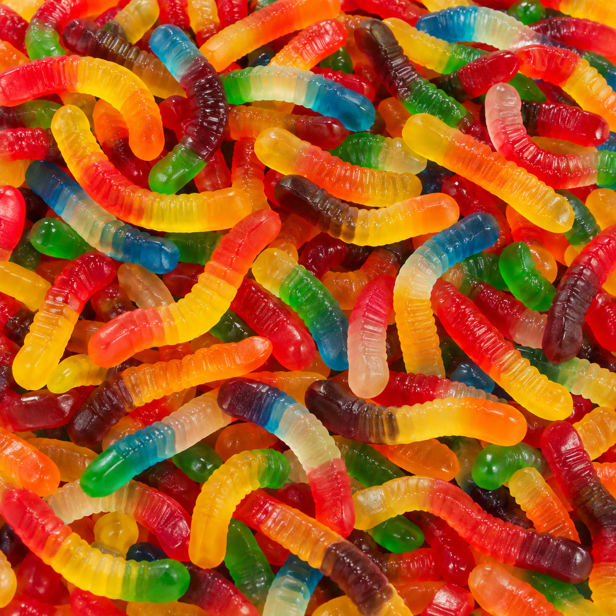 Assorted Gummy Worms, 12 Flavors - 1 lb Bag
