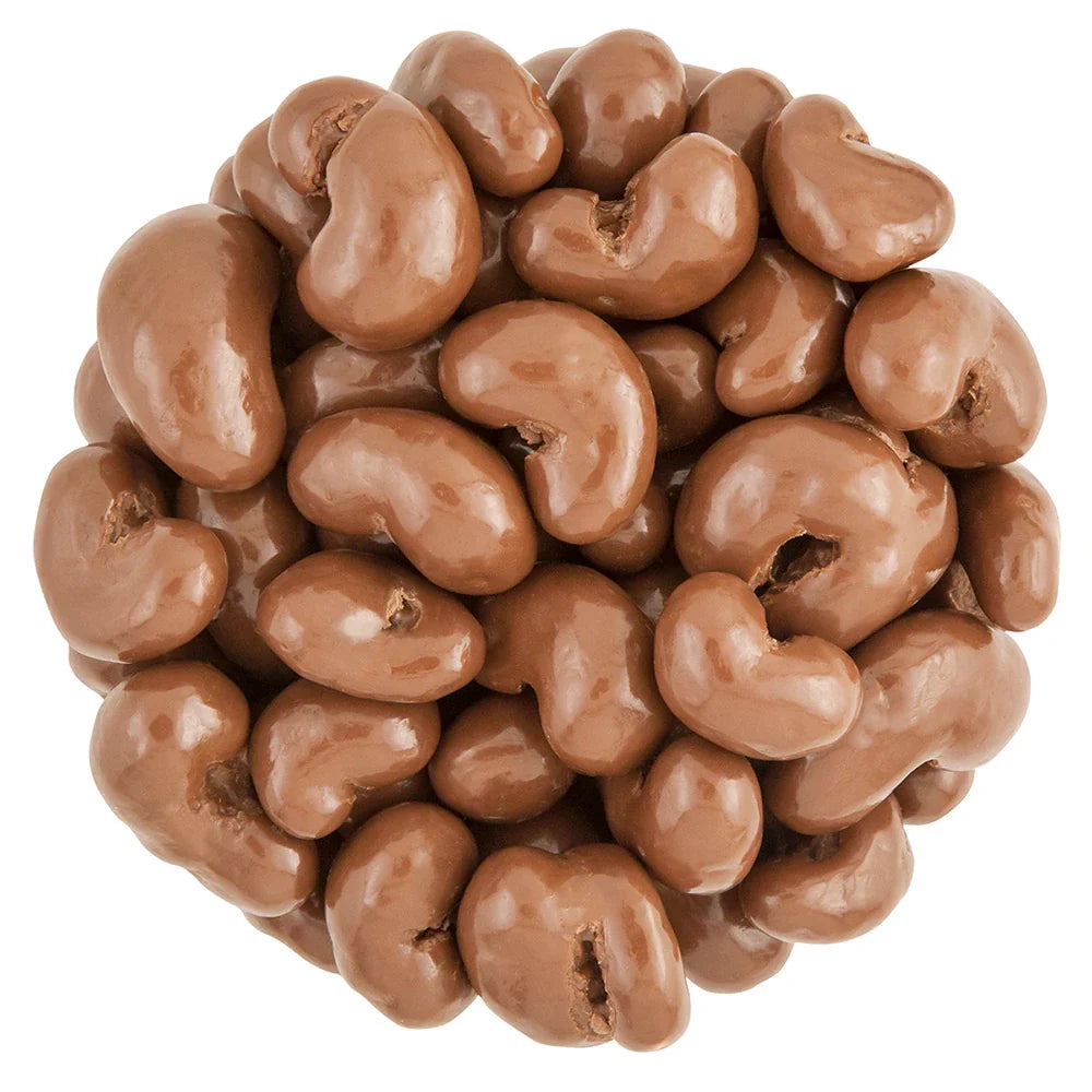 Milk Chocolate Covered Cashews 16 OZ Gourmet Chocolate Candy Snack with Premium Cashews