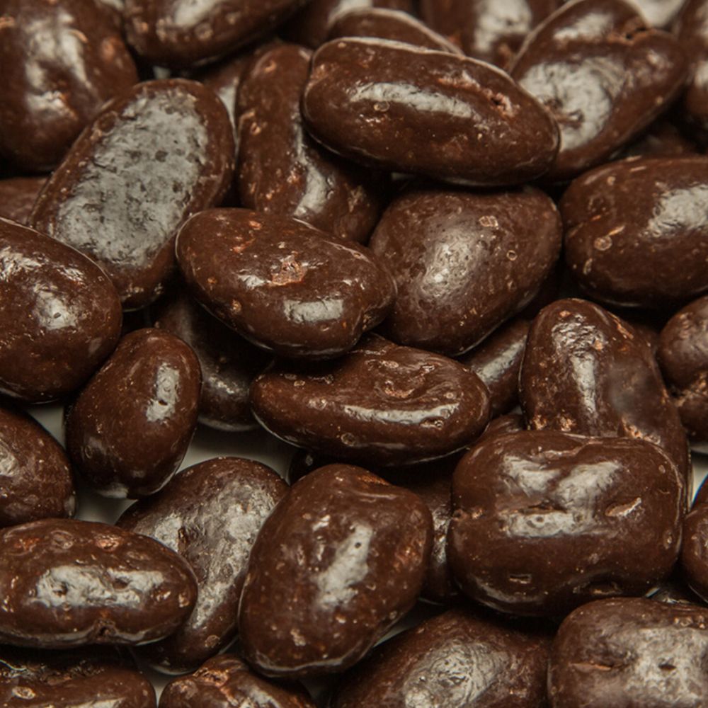 Dark Chocolate Covered Pecans 16 OZ Gourmet Chocolate Candy Snack with Premium Pecans
